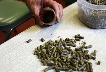 Para el investigador los suplementos deben ir de la mano de unas buenas pasturas. Foto: Unimedios. Suplementos para bovinos