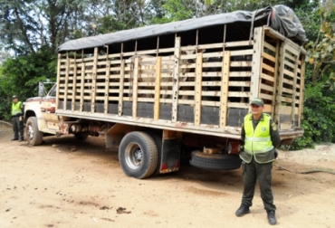 Es necesario profundizar aún más en las acciones de control contra el contrabando y el sacrificio clandestino. Foto: Policía Nacional. Contrabando de reses