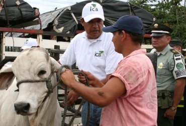 A partir del 1 octubre de 2012 Fedegán – FNG, realizó el traspaso de bases de datos de los productores ganaderos del país al ICA. Foto: Cortesía ICA. Puesto control ICA