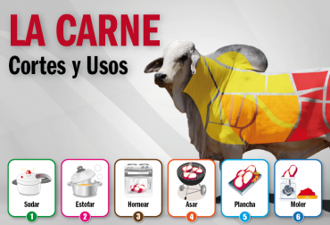 Lo primero que se debe saber es de qué parte de la vaca proviene la carne que se va a consumir. Foto: CONtexto Ganadero Cortes de carne.jpg