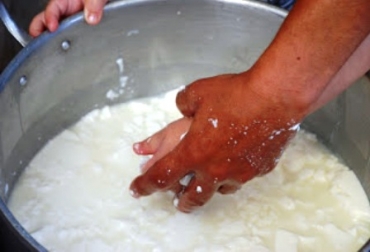 Ganaderos buscan soluciones ante la crisis del sector lácteo en el departamento vallecaucano. Foto. CONtexto Ganadero. Acopio de leche