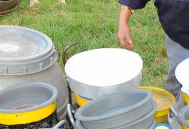 Una de las recomendaciones para evitar pérdidas es el uso de las Buenas Prácticas de Higiene. Foto: Fedegán-FNG. Producción leche