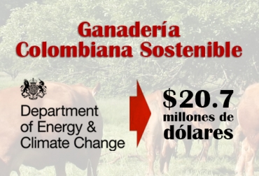 La donación de USD$20.7 millones por parte del Reino Unido beneficiará a 2.700 pequeños y medianos ganaderos en Colombia. Foto: CONtexto Ganadero. Ganadería Colombiana Sostenible