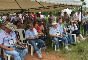 Los expertos recomiendan suministrar materia seca al ganado antes y después del destete. Foto: CONtexto ganadero. Gira Técnica Ganadera Nacional Meta