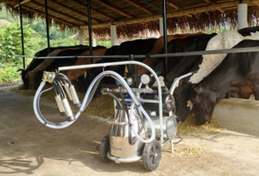 Equipos de 1 o 2 puestos y tanques de frío de baja, media y alta capacidad, son los productos que se pueden adquirir gracias a la la alianza entre DeLaval y Fedegán. Foto: DeLaval Colombia. Equipos de ordeño