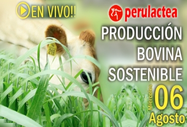 El Curso on line Internacional: Producción, manejo y conservación de Forrajes iniciará el próximo 11 de agosto de 2014. Foto: Perulactea.con. Curso on line sobre producción, manejo y conservación de forrajes