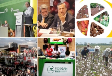 Durante varios eventos el país conoció la realidad del campo. Foto: CONtexto ganadero. Eventos agropecuarios 2013