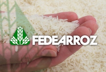 “Hay que adecuar el país para ser más competitivos y no pedir tantos subsidios”, dijo Hernández. Foto: CONtexto ganadero Fedearroz 2013