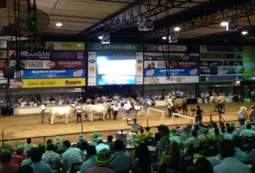 La Feria Nacional Cebú se extiende hasta el 1 de diciembre. Foto:CONtexto Ganadero. Feria Nacional Cebú