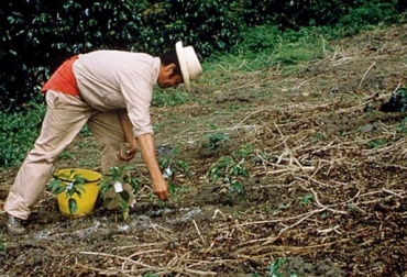Los expertos recomiendan usar abonos orgánicos para mejorar la condición del suelo. Foto: FAO. Fertilizantes