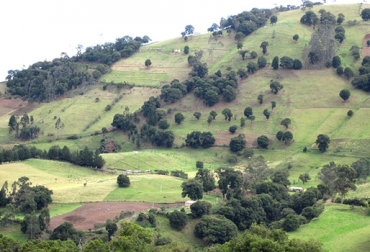 Los agricultores podrán conocer las bondades del suelo, mediante GPS. Foto: CONtexto ganadero. Cultivo agroforestal, Solapa 4 - Finagro
