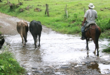 Foto: Página del Ganadero.