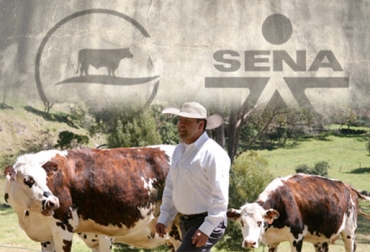 Este proyecto se desarrollará duante los 12 meses de 2015. Foto: CONtexto Ganadero. Convenio Fedegán Sena