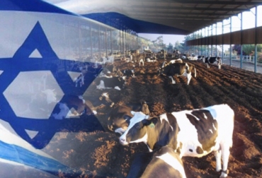 Los representantes de Israel esperan interactuar con productores, directores de empresas del sector agropecuario y agremiaciones del país. Foto: CONtexto Ganadero Israel estará presente en Agroexpo 2013