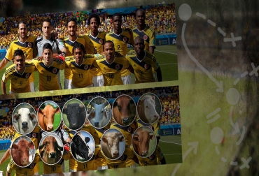 Colombia consiguió en Brasil 2014 su participación más destacada en la cita orbital. Foto: CONtexto ganadero. Selección colombia bovinos