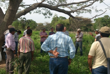 Hasta la fecha se han realizado los pagos por servicios ambientales a 143 predios. Foto: GEF. ganadería colombiana sostenible