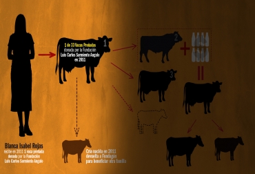 El próximo 8 de octubre Fundagán realizará por tercera ocasión la 'Gran Cena Gourmet', con el fin de seguir sembrando la paz en el campo colombiano. Foto: CONtexto ganadero. 'Una vaca por la paz', multiplicación de vacas