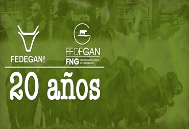 Fondo Nacional del Ganado, 20 años de administración parafiscal. Foto: CONtexto ganadero. Fedegan FNG