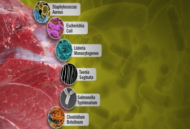 Diversas bacterias se hallan en la carne descompuesta que pueden ser potencialmente mortales si son consumidas Foto: CONtexto Ganadero Bacterias de la carne en descomposicion