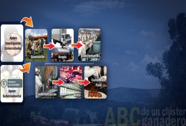El clúster en la ganadería es un trabajo en cadena con un solo fin: aumentar la productividad y economía. Foto: CONtexto Ganadero. Clúster ganadero