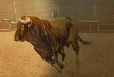 En el país hay 44 ganaderías dedicadas a la cría del toro de lidia. Foto: CONtexto Ganadero. Criadores toro de lidia
