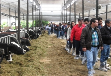 El éxito rotundo se debe a la buena planeación del evento superando el 120% de las expectativas. Foto: CONtexto ganadero. Gira técnica