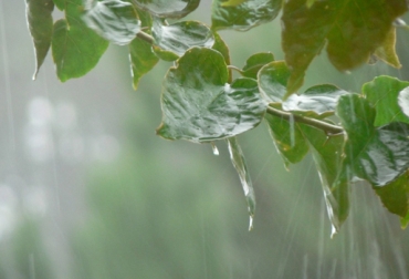 El exceso de agua debe ser aprovechado especialmente en el sector rural, ya que en esas zonas es donde primero empieza a sentirse la escaez del recurso. Foto: valorsoja.com.