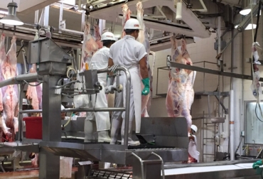 El frigorífico Camagüey, en Barranquilla, fue una de las plantas de beneficio visitadas por la delegación de EE.UU. Foto: ICA. Exportación de carne a Estados Unidos