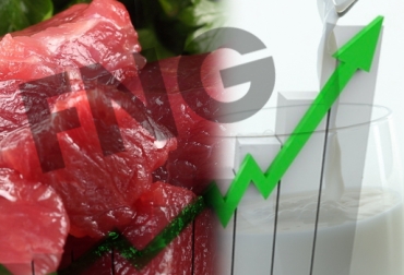 Desde 1995 el FNG-Fedegán ha realizado acciones que han beneficiado a productores de carne y leche, con resultados extraordinarios. Foto: CONtexto Ganadero. Inversiones del Fondo Nacional del Ganado.