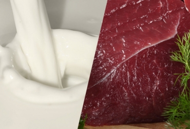 Colombia aún no puede exportar carne bovina a Europa. Foto: CONtexto Ganadero. Tratado de Libre Comercio Colombia y Unión Europea