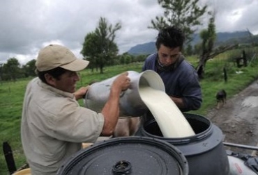 Las importaciones de leche en polvo, el desplome en los precios del producto y la falta de mecanismos que permitan a los productores ser más competitivos son el pan de cada día. Foto: CONtexto Ganadero. Crisis lechera en Colombia