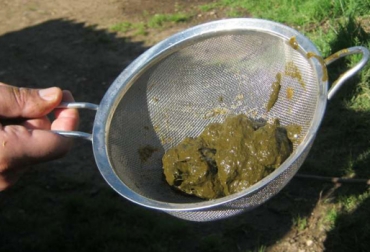 En Colombia se consigue el Levucell, un suplemento que se le puede suministrar al ganado, para mejorar la digestión de los animales, buscando una mejor producción. Foto: CONtexto Ganadero. Levucell