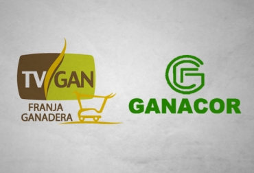 La alianza entre TVGán y Ganacor, va a beneficiar a todos los ganaderos de Córdoba y el país. Foto: CONtexto ganadero. TVGán Remates y Ganacor.