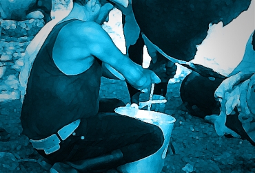 Con estas acciones aumentará la producción láctea en su predio. Foto: CONtexto Ganadero. Ordeño manual..