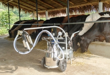 Gracias a su poco peso, el equipo puede ser trasladado por todo el predio. Foto: DeLaval. ordeño móvil