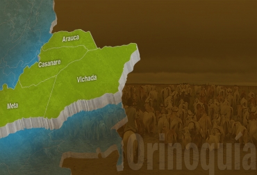 “Orinoquia: tierra sin fronteras. Futuro ganadero y agrícola del país”, es el eslogan de esta edición del evento. Foto: CONtexto Ganadero. Gira Técnica Nacional