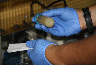 Esta tecnología se emplea para mejorar la productividad del ganado bovino a través del mejoramiento genético. Foto: Corpoica. transferencia de embriones congelados