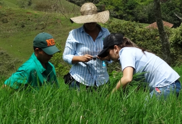 Día de Campo en Riofrío, Valle del Cauca. Foto: Andrés Sinisterra González / Fedegán. pasto fertilizado