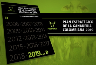 El documento fue publicado en 2006 gracias al trabajo realizado entre Fedegán y el FNG. Foto: CONtexto Ganadero. Plan Estratégico dela Ganadería Colombiana