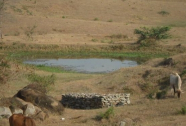 El gremio bovino le pide subsidios al Ministerio de Agricultura para el transporte de agua a predios bovinos. Foto: CONtexto Ganadero. Fenómeno de El Niño