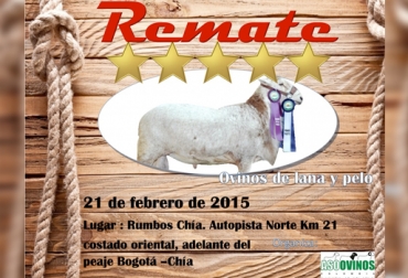 La actividad se desarrollará el 21 de febrero. Foto: Asoovinos. Remate Asoovinos