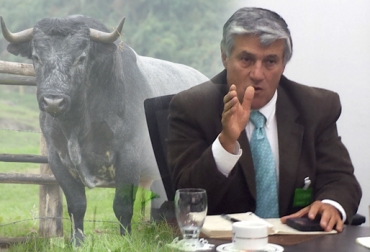Miguel Gutiérrez, presidente de la Cámara Gremial del Toro de Lidia. Foto: CONtexto ganadero. cámara gremial del toro de lidia