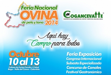 La primera Feria Nacional de Ovinos de Pelo y Lana será un espectáculo que tendrá como eje central el mejoramiento genético de esta ganadería. Foto: Suministrada. Feria Nacional de Ovinos de Pelo y Lana