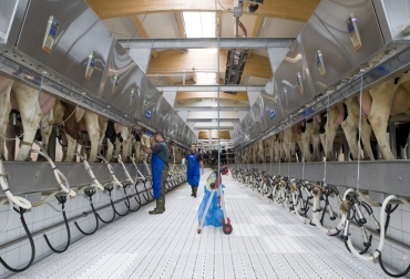 El convenio entre Fedegán y la empresa Bioval se firmará en este 2014. Foto: Cortesía - Boumatic. Salas de Ordeño