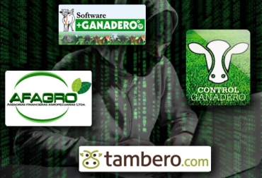 La seguridad es la punta de lanza de todo desarrollo de software para prevenir hackeos. Foto: CONtexto Ganadero. Hacker en software