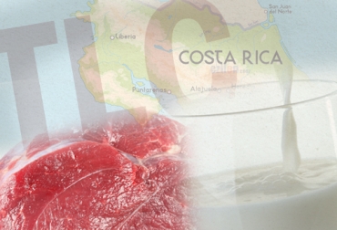 En la negociación del TLC con Costa Rica el sector de carne bovina quedó excluido de cualquier compromiso de desgravación arancelaria. Foto: CONtexto Ganadero. TLC entre Colombia y Costa Rica