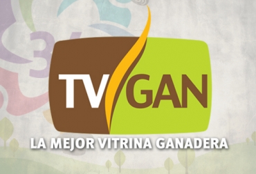 Venta y compra de animales, insumos, alimentos, maquinaria y clasificados, son los segmentos con los que trabaja 'la mejor vitrina ganadera'. Foto: CONtexto Ganadero. Tv Gan