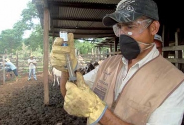 Foto: CONtexto Ganadero fiebre aftosa en Colombia, Venezuela, Perú,