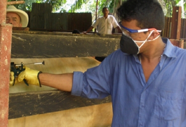 Mantener el estatus del país como libre de fiebre aftosa y prevenir la brucelosis, es el objetivo de este nuevo ciclo de vacunación. Foto: CONtexto. Vacunadores Colombia Fedegán