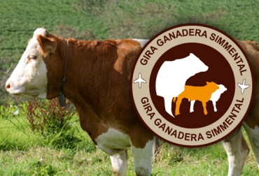La Gira Técnica se desarrollará hasta el 25 de abril. Foto: CONtexto ganadero. Gira Simmental